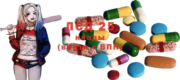 стафф Новокубанск