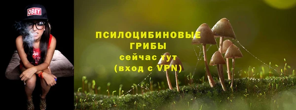 сатива Нефтегорск
