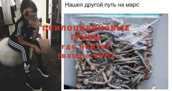 гидропоника Новозыбков