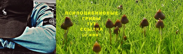 сатива Нефтегорск
