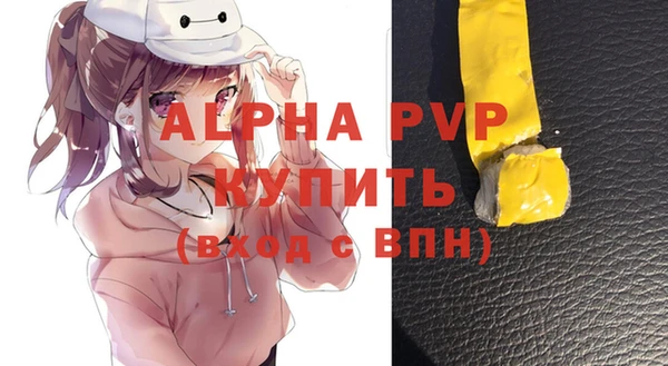 стафф Новокубанск