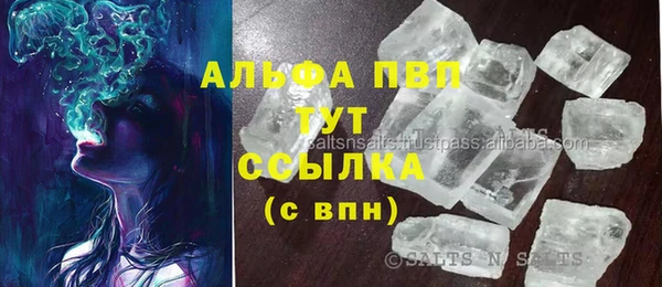 стафф Новокубанск