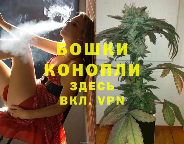 шишки Нефтекумск