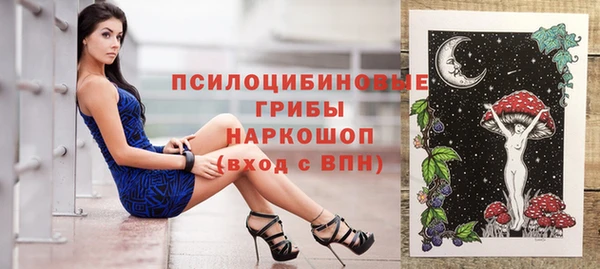 стафф Новокубанск