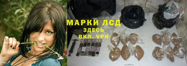 гидропоника Новозыбков