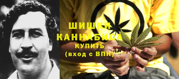 стафф Новокубанск