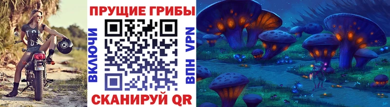 Псилоцибиновые грибы Psilocybine cubensis  дарнет шоп  Александровск-Сахалинский 